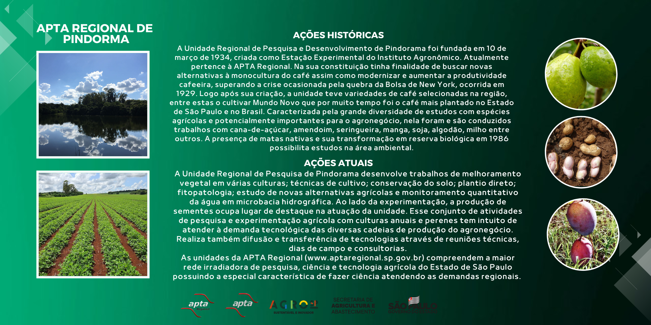 APTA REGIONAL DE PINDORAMA